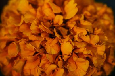 Full frame shot of yellow flowers