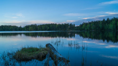 Reflection of trees in lake