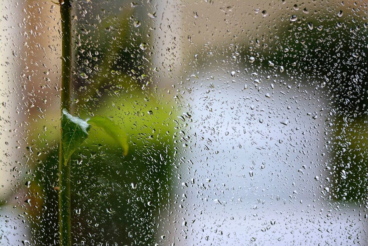 WATER DROPS ON GLASS WINDOW