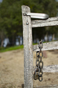 Close-up of chain hanging on wooden post in park