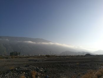 Scenic view of field against clear sky