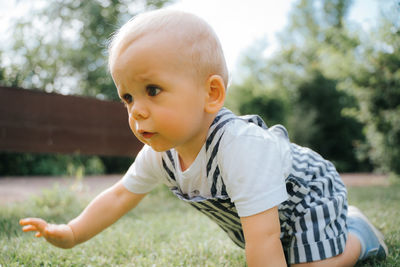 Cute toddler crawling on lawn