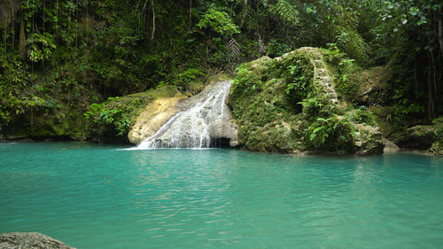 Beautiful waterfall in green forest. tropical cambais falls in mountain jungle, philippines, cebu. 