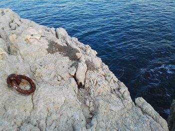 Close-up of rock by sea