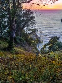 Scenic view of sea against sky during sunset