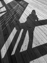 Shadow of person on footpath