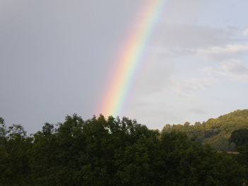 Low angle view of rainbow over trees against sky