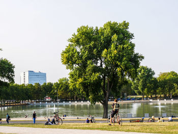 People relaxing in park by lake against clear sky