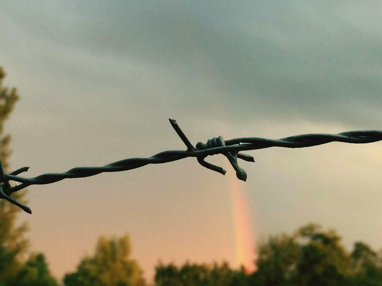 protection, safety, security, metal, barbed wire, focus on foreground, danger, outdoors, close-up, day, no people, sky, spiked, razor wire, low angle view, exclusion, nature