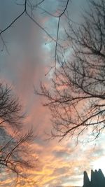 Low angle view of bare trees against cloudy sky