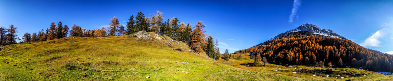 Panoramic view of trees and mountain against sky