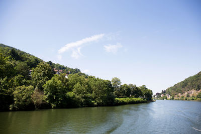 Scenic view of river amidst trees against sky