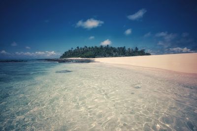 Scenic view of beach against blue sky