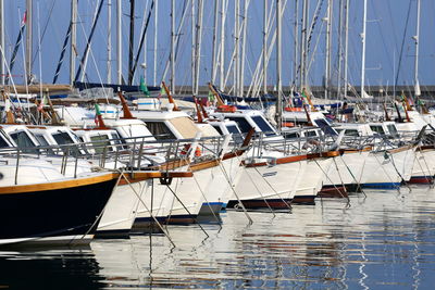 Sailboats moored in harbor