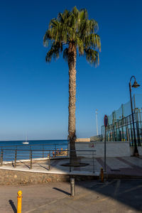 Palm trees on beach against clear blue sky