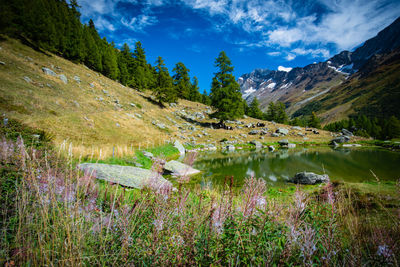 Scenic view of lake and mountains against sky