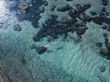 High angle view of women swimming in sea