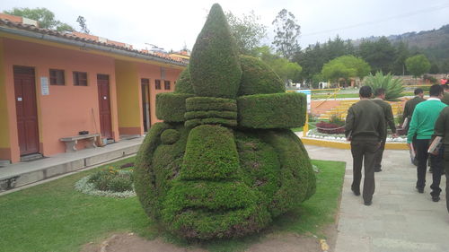 People growing in front of garden against sky