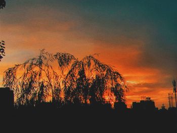 Silhouette trees against dramatic sky during sunset