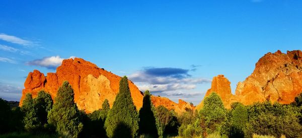 Low angle view of trees against blue sky