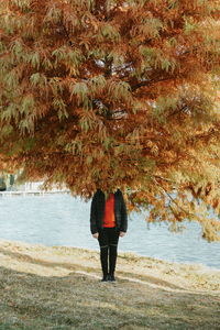 Low section of man standing below autumn tree