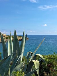 Scenic view of sea against blue sky
