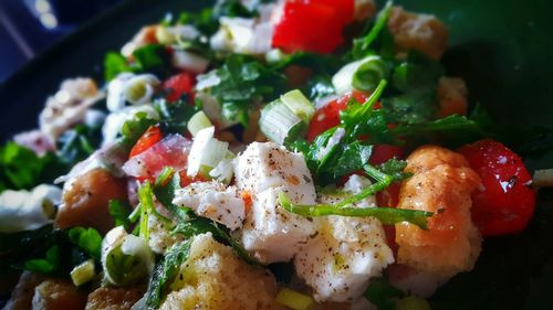 Close-up of salad in plate