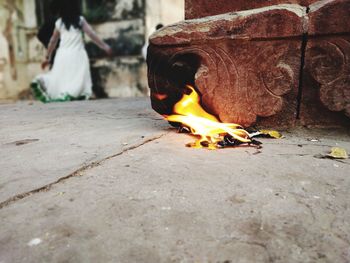 Close-up of fire on log