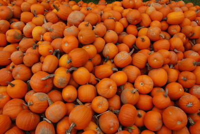 Full frame shot of pumpkins