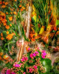 Full frame shot of flowers