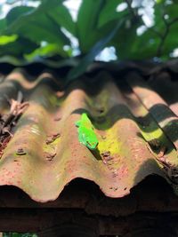 Close-up of rusty metal