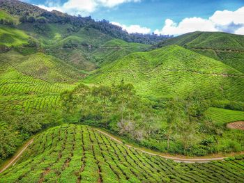 Scenic view of farm against sky