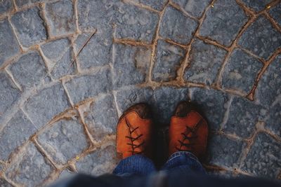 Low section of person standing on cobbled footpath