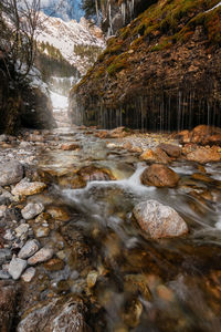 Stream flowing through rocks in forest