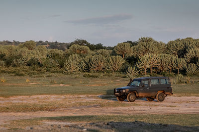 Jeep safari in amboseli national park kenya