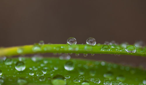Close-up of water splashing on fountain