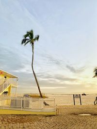 Palm trees on beach against sky