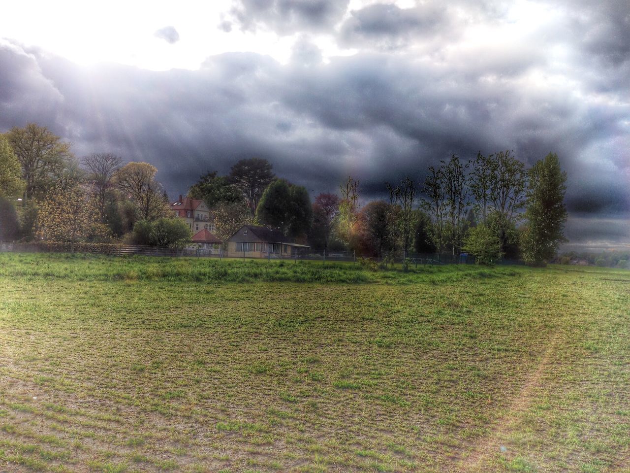 sky, tree, tranquil scene, field, landscape, tranquility, cloud - sky, grass, beauty in nature, scenics, growth, nature, cloudy, rural scene, green color, grassy, cloud, weather, idyllic, day