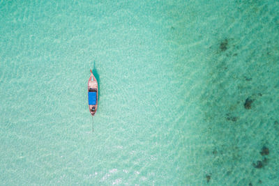 High angle view of person swimming in pool