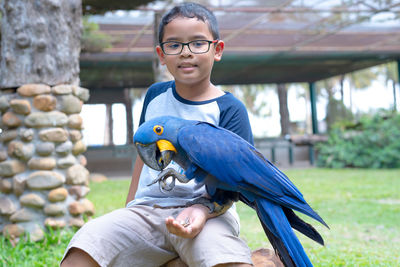 Asian boy siting on the rock and feeding a beautiful parrot on his arm