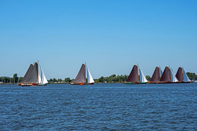 Traditional frisian wooden sailing ships in a yearly competition in the netherlands