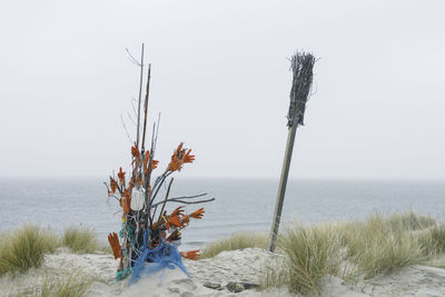 Poles at sea shore against sky