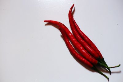 Close-up of red chili pepper against white background