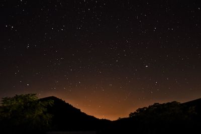 Low angle view of silhouette trees against star field at night