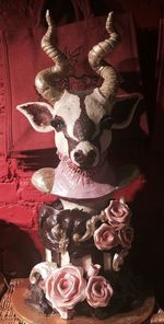 Close-up of pink flowers