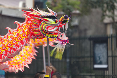 View of dragon costume outdoors
