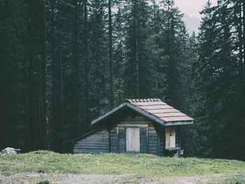 House with trees in background