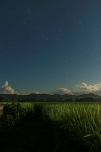 Scenic view of field against sky at night