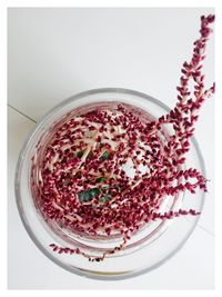 Close-up of seed pods  against white table background