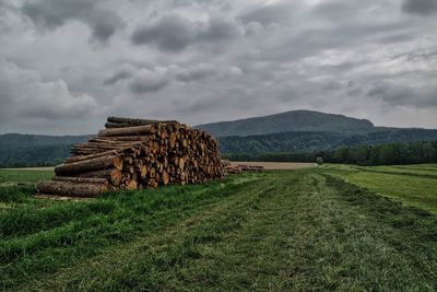 Scenic view of grassy field against cloudy sky